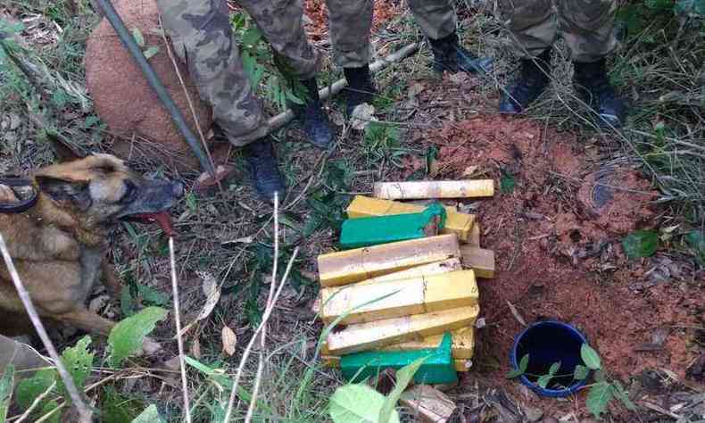 Cachorro foi decisivo para encontrar droga apreendida(foto: Polcia Militar/Divulgao)