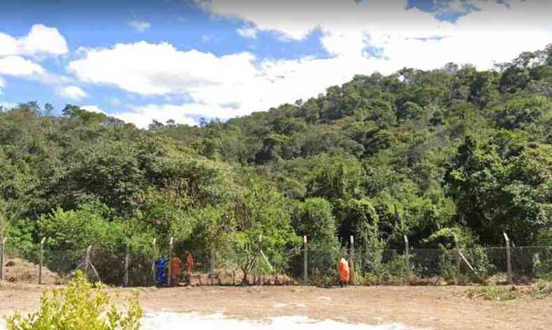Área de reflorestamento fica no Bairro Ribeiro de Abreu, na Região Nordeste de BH(foto: Reprodução/Google Street View)