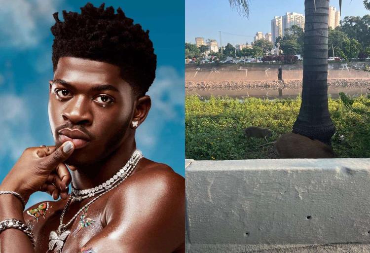 Montagem de foto de Lil Nas X e as capivaras 