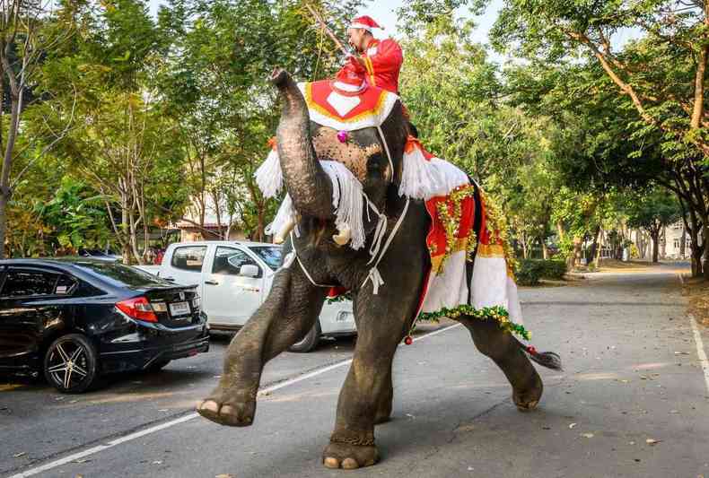 Um mahout treina seu elefante vestido com uma fantasia de Papai Noel antes de uma apresentao para crianas (foto: Mladen ANTONOV / AFP)