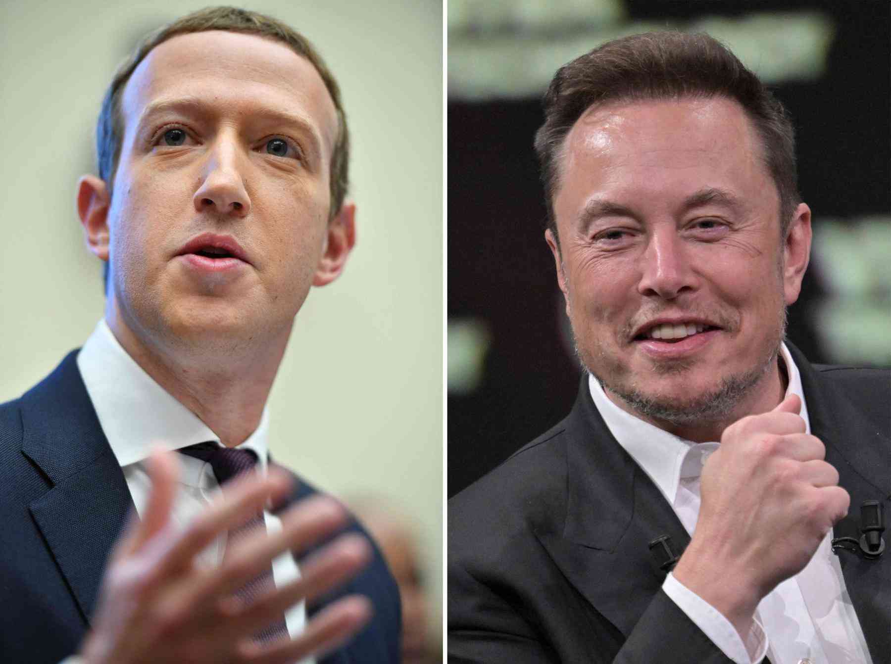  Zuckerberg aceita luta com Musk, sugere data e alfineta rival 