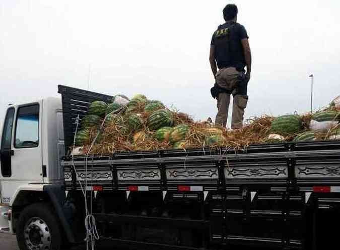 A droga estava escondida em meio a carga de melancias(foto: Polcia Rodoviria Federal (PRF) / Divulgao)