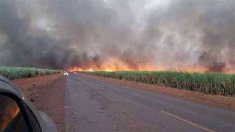 O fogo comeou na tarde deste domingo(foto: Divulgao/Corpo de Bombeiros-MG)