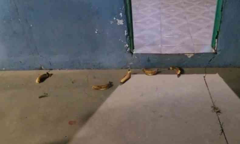 Bananas que foram jogadas no centro de capoeira