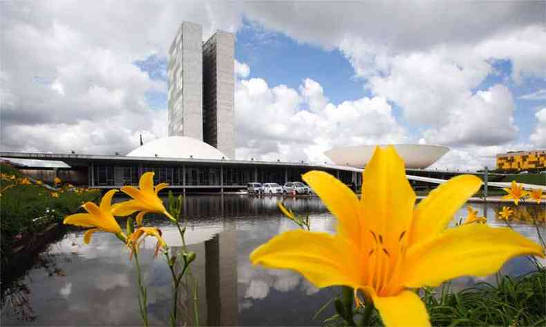 (foto: Andr Correa/Senado Federal)