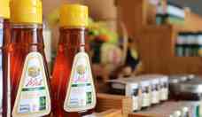 Produtores do Norte de Minas vendem 15 toneladas de mel para a Blgica
