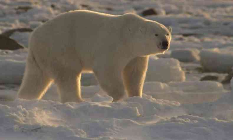 (foto: AFP)