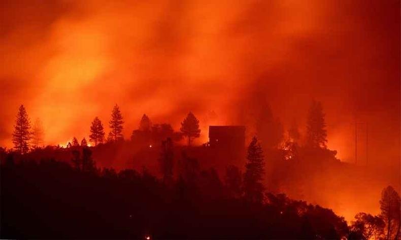 Os maiores inc�ndios ocorrem no condado de Butte, na Sierra Nevada ao norte de Sacramento, capital do estado da costa oeste dos Estados Unidos(foto: Josh Edelson / AFP )