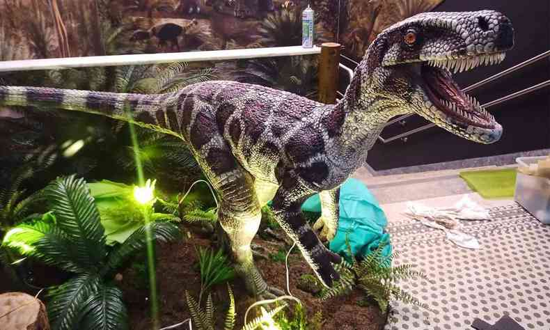 Última escultura feita por Rodolfo foi de uma espécie de dinossauro predador, denominada Gnathovorax cabreirai, que é originário do período Triássico (com aproximadamente 230 milhões de anos) e que está no Museu Dante Alighieri, em São Paulo (SP).