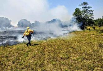 (foto: Divulgação/Instituto Brasília Ambiental)