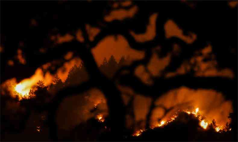 Cerca de 85.000 hectares foram queimados nos ltimos 10 dias na Califrnia(foto: Elijah Nouvelage)