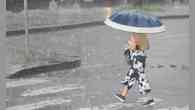 MG: 77 cidades estão sob alerta de chuvas fortes até domingo 