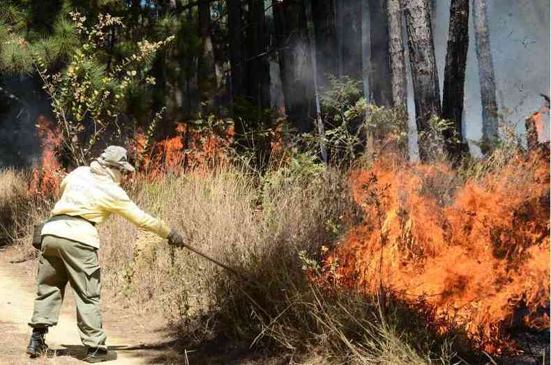 Brigadista combatendo um incndio(foto: Marcelo Ferreira/CB/D.A Press )