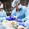 COVID-19 pode causar diabetes tipo 2, sugere estudo