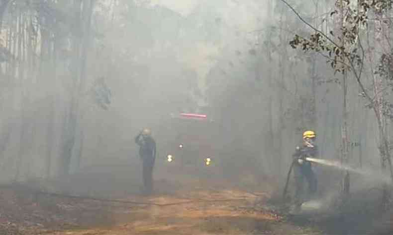 Segundo os bombeiros, h pontos de reignio e novos focos na vegetao de Nova Lima(foto: Corpo de Bombeiros/Divulgao)