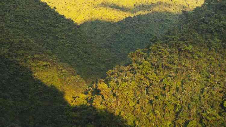 Foto area de encostas cobertas por floresta