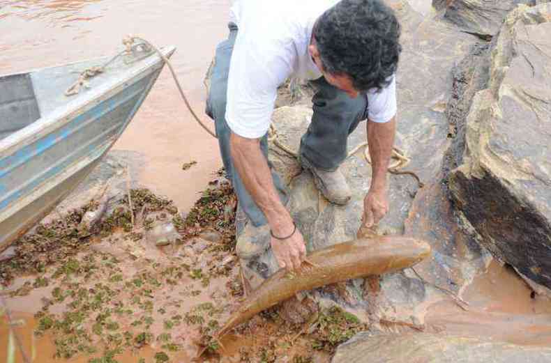 Ao longo do rio, vrios peixes foram encontrados mortos(foto: Gladyston Rodrigues/EM/D.A.Press)