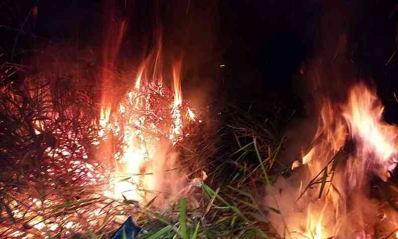 Bombeiros de Poos de Caldas atenderam na noite dessa tera-feira (2) ocorrncia de incndio em vegetao prximo  residncias, quase atingindo um galinheiro(foto: Corpo de Bombeiros/Divulgao)