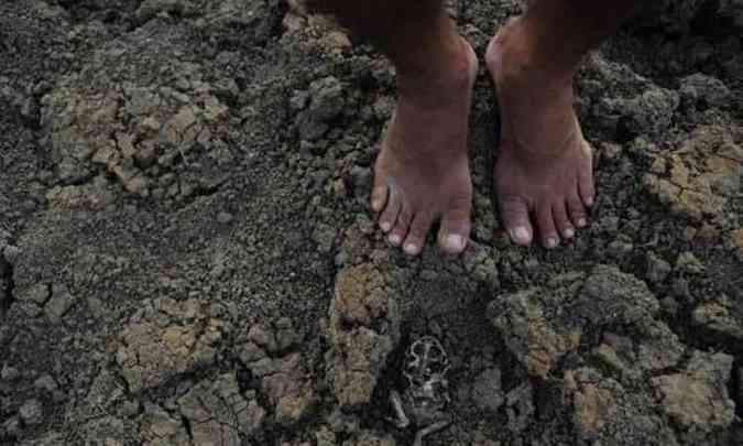 Na foto, o Aude da Pista, que abastecia moradores da comunidade Engano, no distrito de Riacho Verde, em Quixad, serto central do Cear (foto: Fernando Frazo/Agncia Brasil)