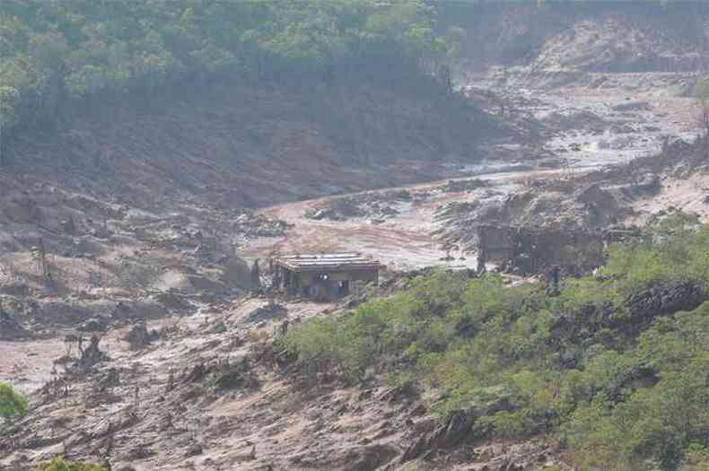 Com a ruptura da barragem, a comunidade de Bento Rodrigues, vegetao, margem e leito de rios foram tomados pela lama: inicialmente, foi descartado risco de material ser txico(foto: Gladyston Rodrigues/EM/D.A PRESS )