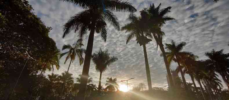 Praa Floriano Peixoto, com coqueiros, cu com nuvens e sol no centro