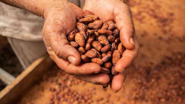 O chocolate que apreciamos hoje  um alimento muito mais processado e refinado do que aquele consumido pelos astecas sculos atrs(foto: Mauricio Palos/Bloomberg/Getty Images)