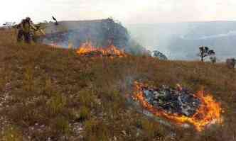 Os brigadistas usaram abafadores para tentar conter as chamas na vegetao na reserva ambiental, numa ao que envolve cerca de 70 homens(foto: ICMBIO/Divulgao)