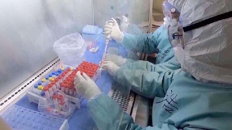 Desde a morte dos mineiros em Tongguan, os cientistas do IVW detectaram pelo menos 293 coronav�rus(foto: BBC)