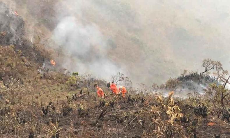 trabalho do corpo de bombeiros na serra do rola-moa