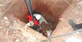 A gua caiu em uma fossa desativada com quatro metros de profundidade(foto: Corpo de Bombeiros/Divulgao)