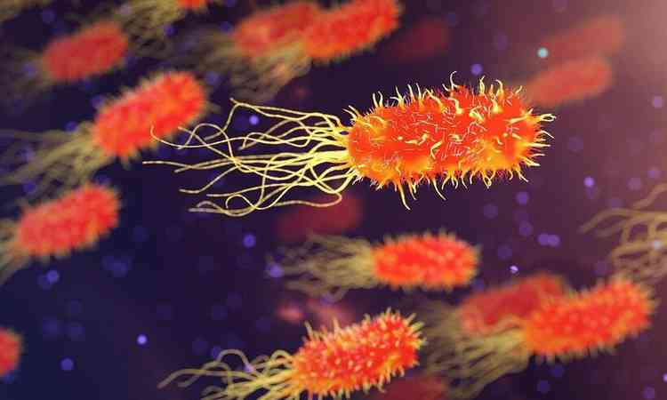 imagem ilustrativas de bactrias nas cores vermelha e amarela