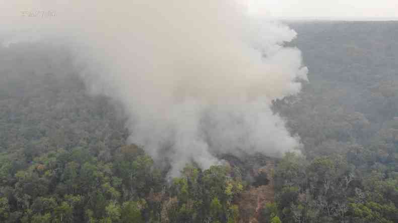 Ministrio do Meio Ambiente retirou todos agentes do Ibama do combate a incndios no pas, incluindo a Amaznia(foto: CBBMG/Divulgao - 19/9/19)