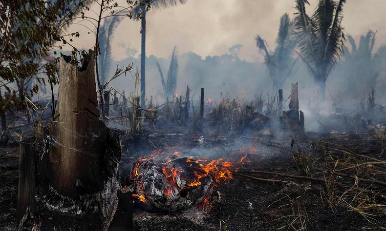Floresta no município de Apuí, no Amazonas(foto: MICHAEL DANTAS / AFP) Apuí, no Amazonas
