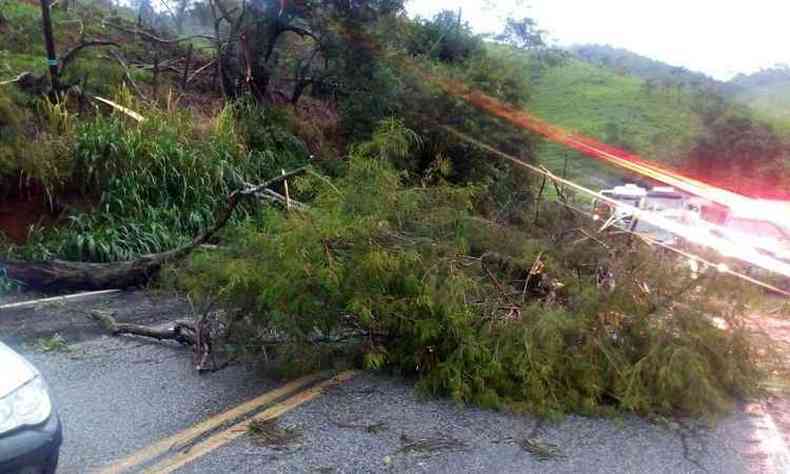 Com queda de árvores, rodovia está parcialmente interditada em Nova Era(foto: PRF/Divulgação)