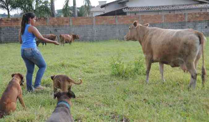 Estudante de odontologia, Ana Paula Lopes, de 23 anos, no esconde a satisfao de aproveitar o ambiente rural no meio da cidade (foto: Paulo Filgueiras/EM/D.A Press. )