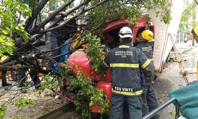 Trabalhos de remoção dos galhos devem se estender por toda a tarde na avenida(foto: Corpo de Bombeiros/ Divulgação ) Trabalhos de remoção dos galhos devem se estender por toda a tarde na avenida(foto: Corpo de Bombeiros/ Divulgação )