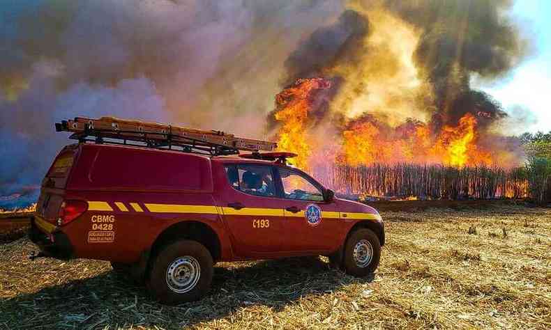 Nmero de incndios em matas so os que mais preocupam os bombeiros (foto: CBMMG/Divulgao )