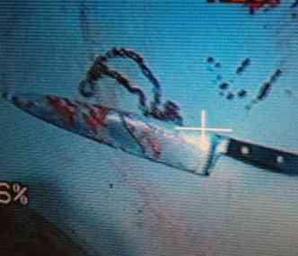 A faca foi encontrada junto com o empresrio em uma sute de motel(foto: Reproduo/Polcia Civil)