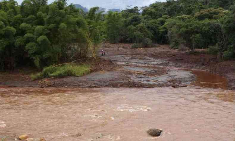 Lama de rejeitos que vazaram da barragem da Vale atingira o Rio Paraopeba(foto: Edesio Ferreira/EM/D.A.Press)