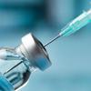 Antivax: casal exige sangue de doadores não vacinados em cirurgia de bebê 