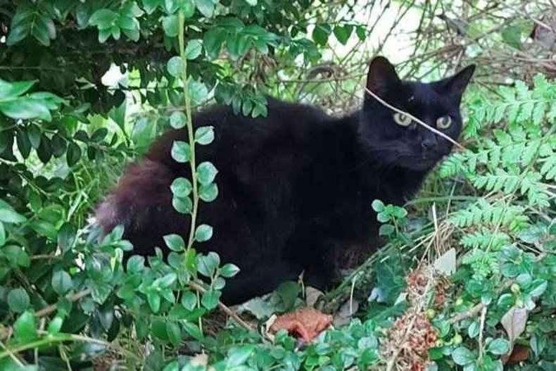 (foto: Tamara Longmuir/Facebook/Reprodu��o)