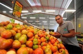 O tomate já havia sido o vilão da inflação da cesta na maioria das capitais em junho(foto: Leandro Couri/EM/D.A Press. ) O tomate já havia sido o vilão da inflação da cesta na maioria das capitais em junho(foto: Leandro Couri/EM/D.A Press. )