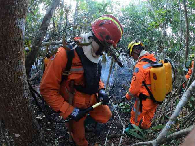 Militares mineiros integram fora-tarefa nacional que combate o fogo na floresta amaznica, no Norte do BrasilCorpo de Bombeiros de Minas Gerais/Divulgao