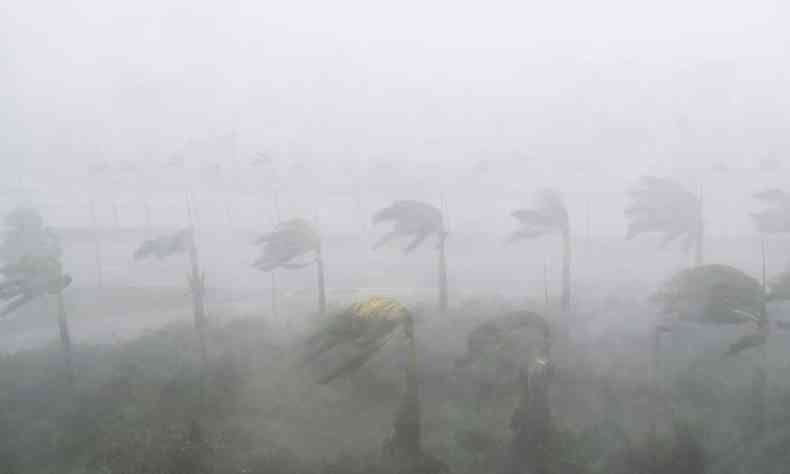 Chegada do Irma causa ventos e chuva em Miami(foto: AFP / SAUL LOEB )