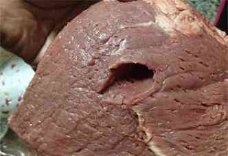 Imagem de carne apreendida pela PF hoje (foto: Divulgao/PF)