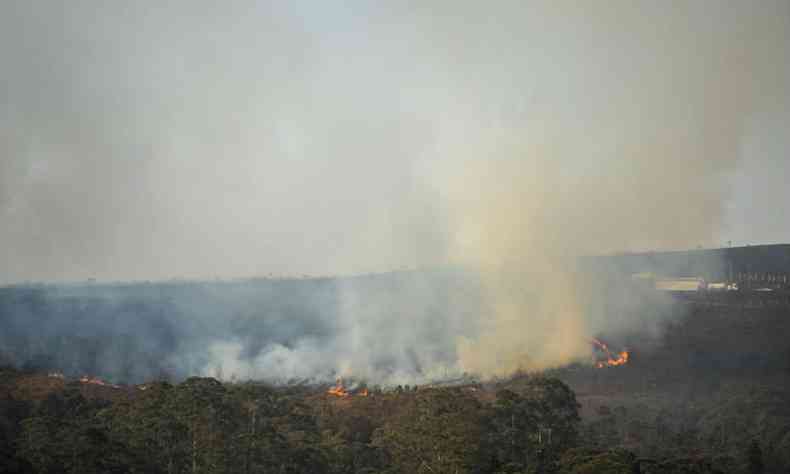 Vegetao  destruda pelas chamas dentro da unidade de conservao(foto: Leandro Couri/EM/D.A.Press)