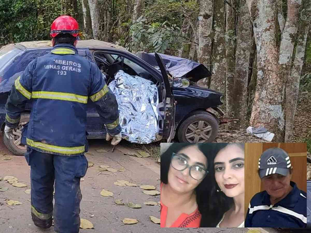 Pai, mãe e filha morrem com batida de carro contra árvore em rodovia de MG  - Gerais - Estado de Minas