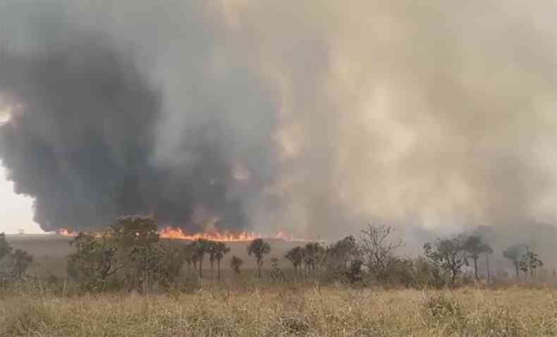 Incndio comeou em rea de Preservao Permanente em Tupaciguara e se alastrou para canavial fogo chamas