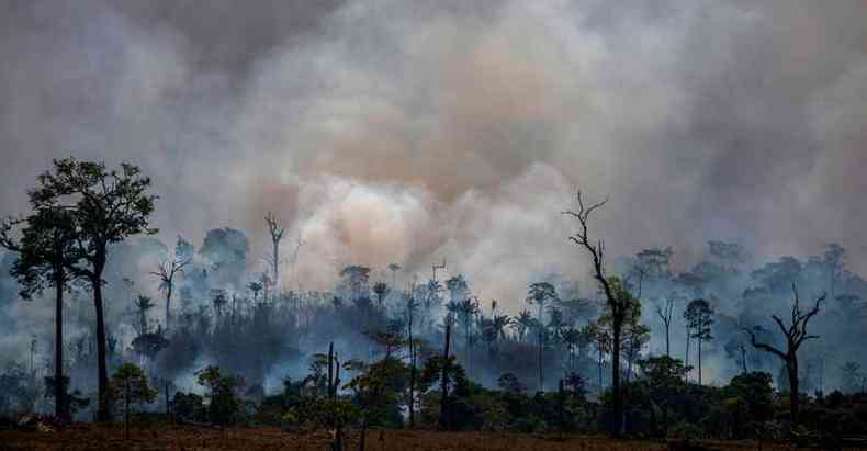 Sob o governo Bolsonaro, queimadas cresceram 30,5% na Amaznia no ano passado(foto: JOAO LAET/AFP)