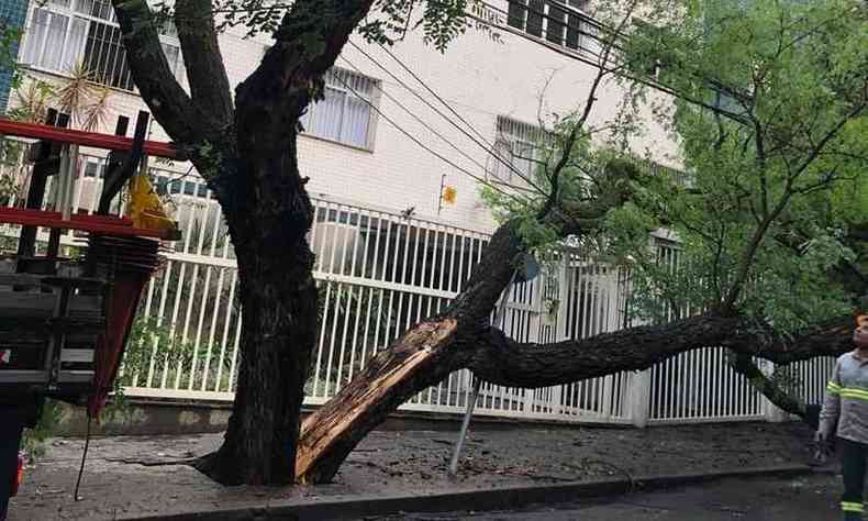 Vrios ruas ainda estavam interditadas neste domingo em BH, por causa da queda de rvores (foto: Corpo de Bombeiros/Divulgao)